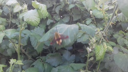 Sarl Jeanneau Gentil, Plombier à Saint-Colomban