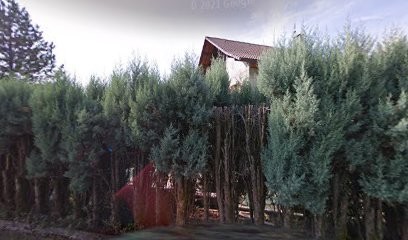 Rimboud Rémy, Plombier à Mercury