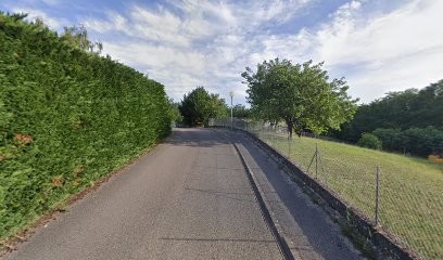 Lanzone Dominique, Plombier à Frans